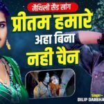Preetam hamar aahan bina nai chai lyrics
